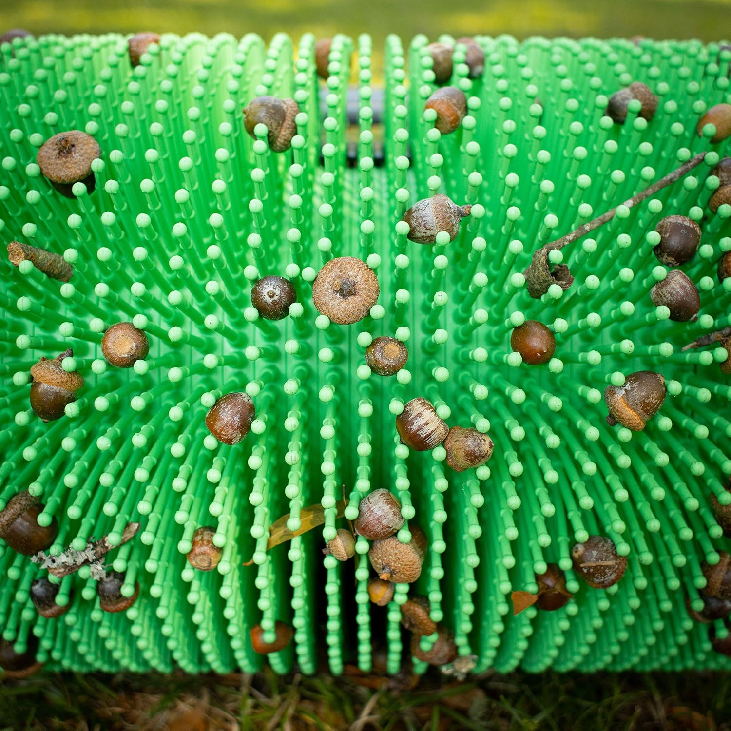 Bag-A-Nut 18" Push Acorn Harvester (Large - for Acorns 3/8" and Larger)