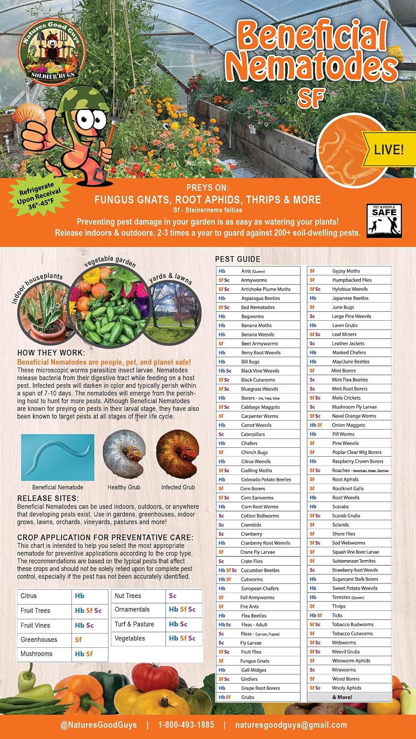 NaturesGoodGuys Beneficial Nematodes SF Steinernema feltiae - 50 Million