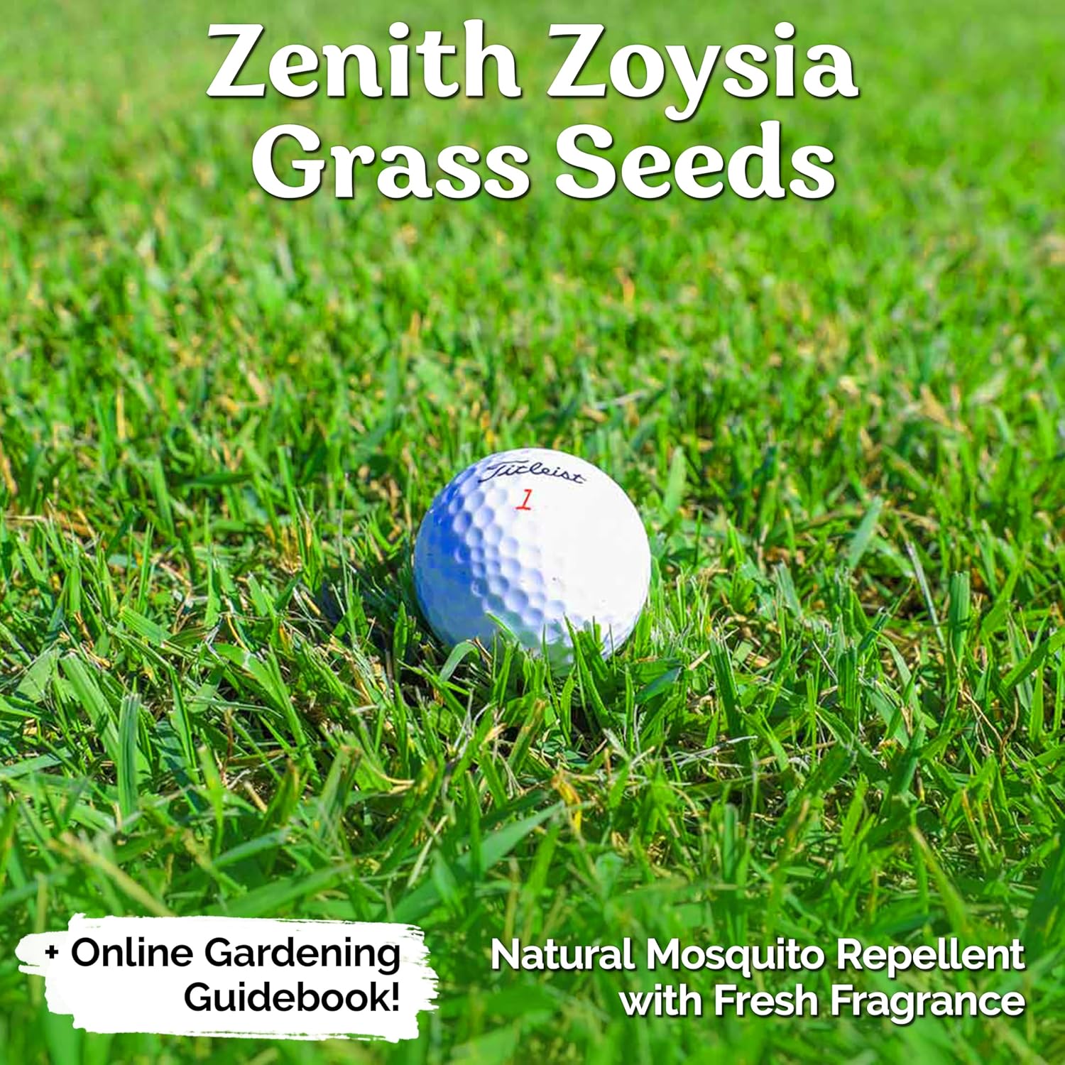 1/4 Lb Zenith Zoysia Grass Seed (Zoysia Japonica) – Zenith Zoysia Seeds for Lawn – Dense, Grass Seed Shade & Drought Tolerant