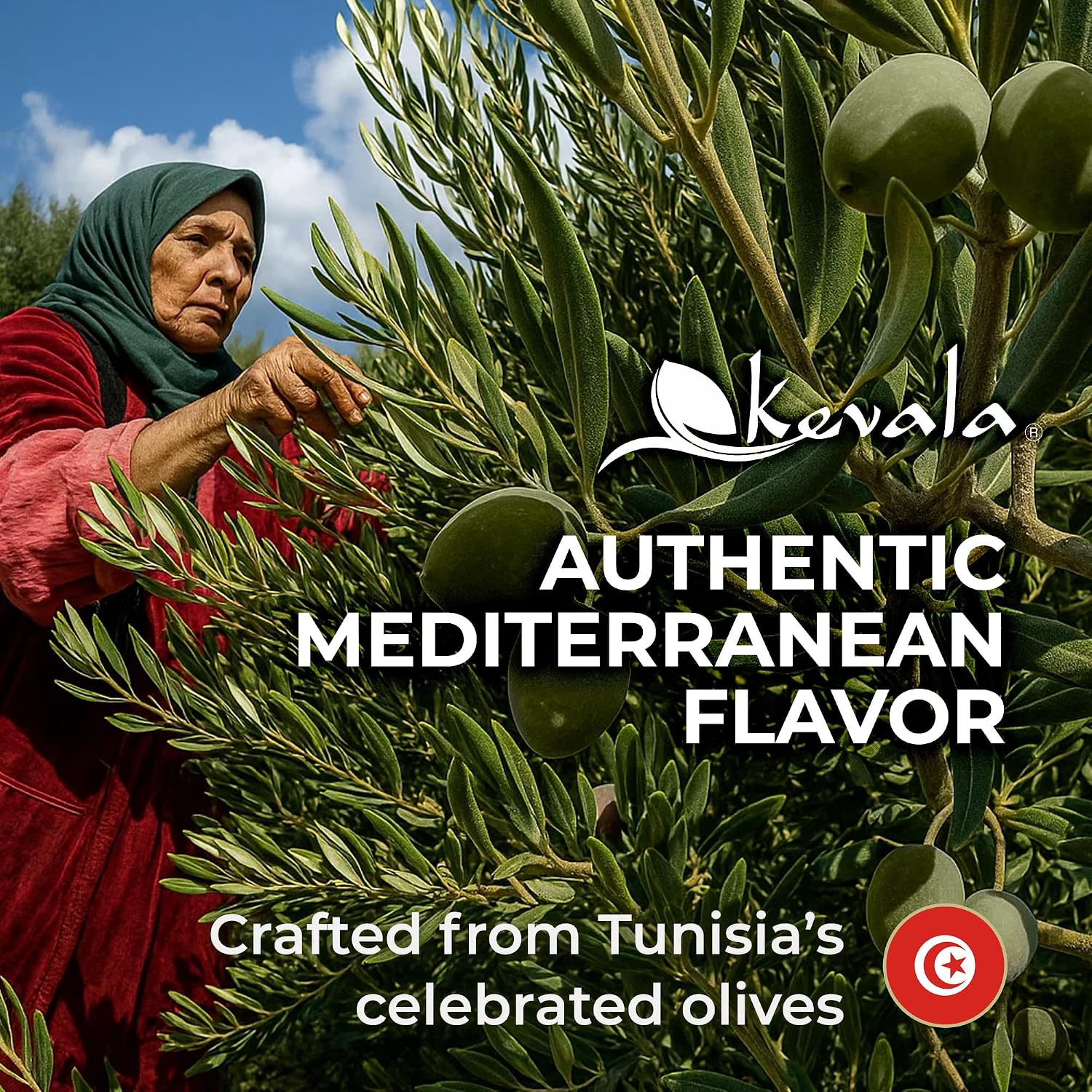 Kevala Extra Virgin Organic Olive Oil - 1/2 gal, Unrefined Cooking Oil | 64 oz, Cold Pressed, No Preservatives, Made with Selected Fresh Olives, Natural Kitchen Pantry Essential, Easy Storage