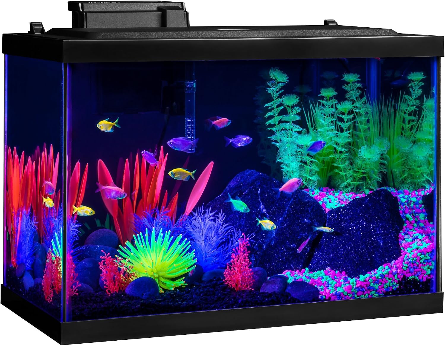 GloFish Crescent aquarium Kit 3 Gallons, Includes Hidden Blue LED Light And Internal Filter