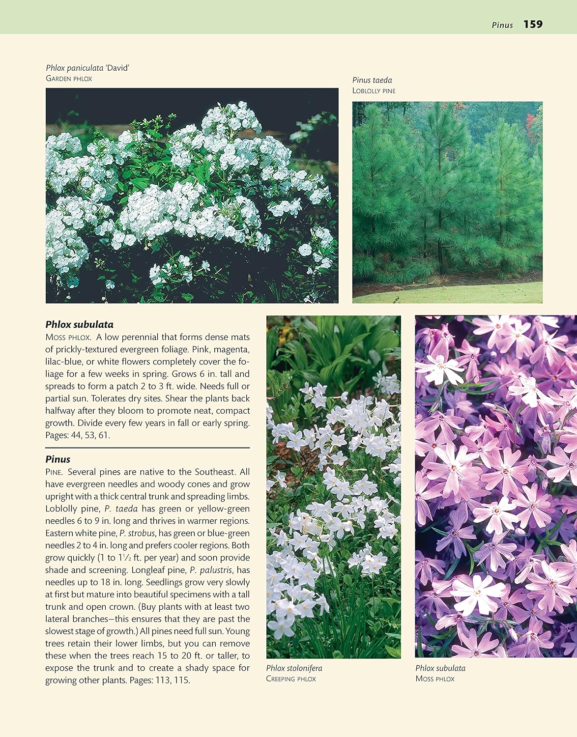 Southeast Home Landscaping, Fourth Edition: 54 Landscape Designs with 200+ Plants & Flowers for Your Region (Creative Homeowner) Plans, Ideas