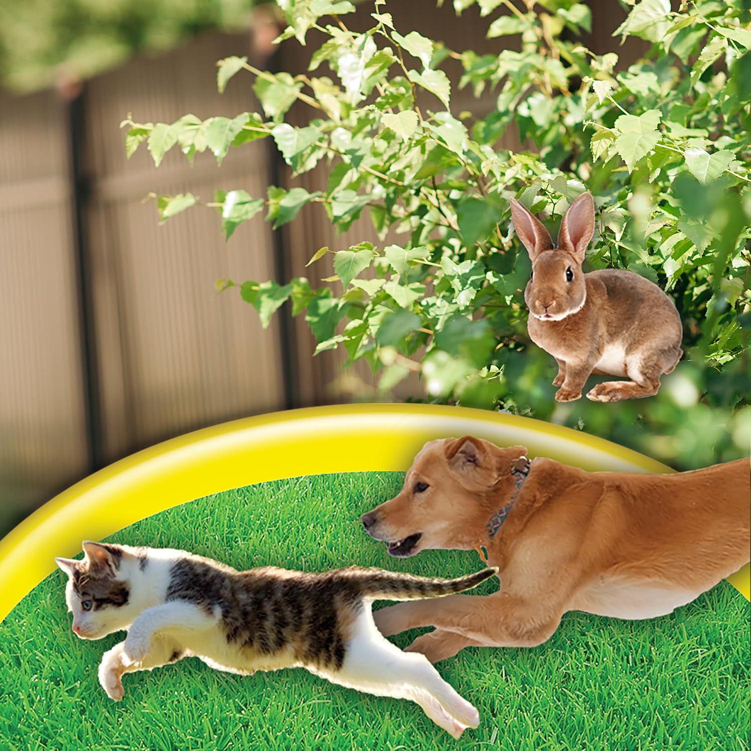 Bonide Go Away! Rabbit, Dog, & Cat Repellent Granules, 3 lbs Ready-to-Use, Keep Dogs off Lawn, Garden, Mulch & Flower Beds | Ready-to-Use, Keep Dogs off Lawn, Garden, Mulch & Flower Beds