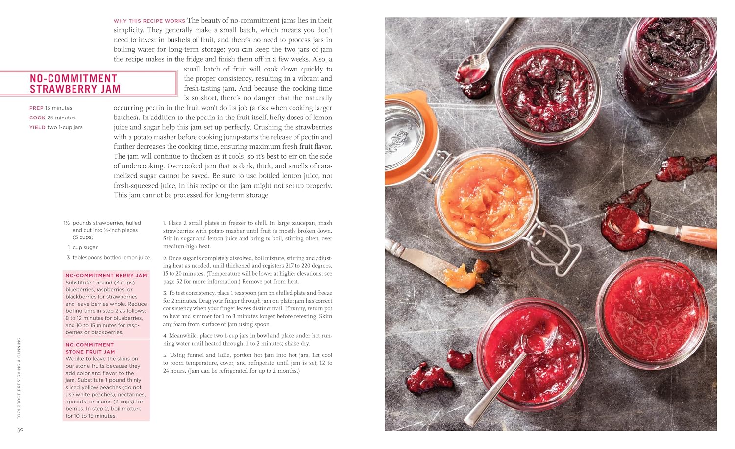 Foolproof Preserving and Canning: A Guide to Small Batch Jams, Jellies, Pickles, and Condiments