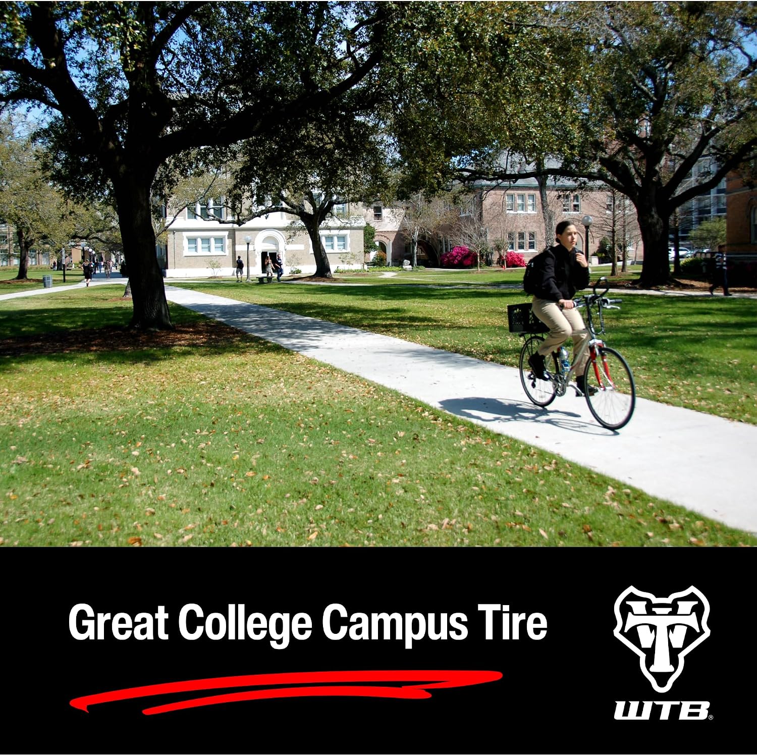 WTB ThickSlick Hybrid Bike Tire (26"/29"/700c) Wire Bead - Slick Tread - Commuter & Campus (Black/White, Optional Flat Guard)