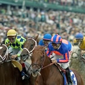 Hot Belly Born at the Kentucky Derby!