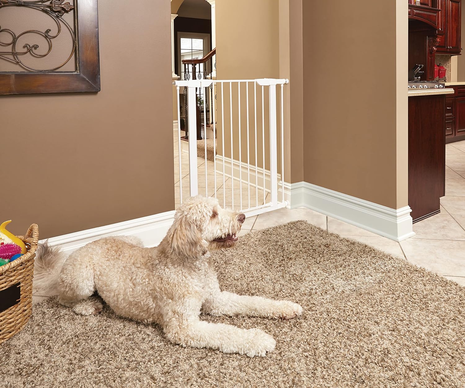 Midwest Homes 39-Inch Steel Walk-Thru Dog Gate, Expands to 38" | Pressure Mounted, Expands 29.5"- 38" Wide, Auto-Close Door, Spring-Loaded Latch, Includes Two 3" Extensions