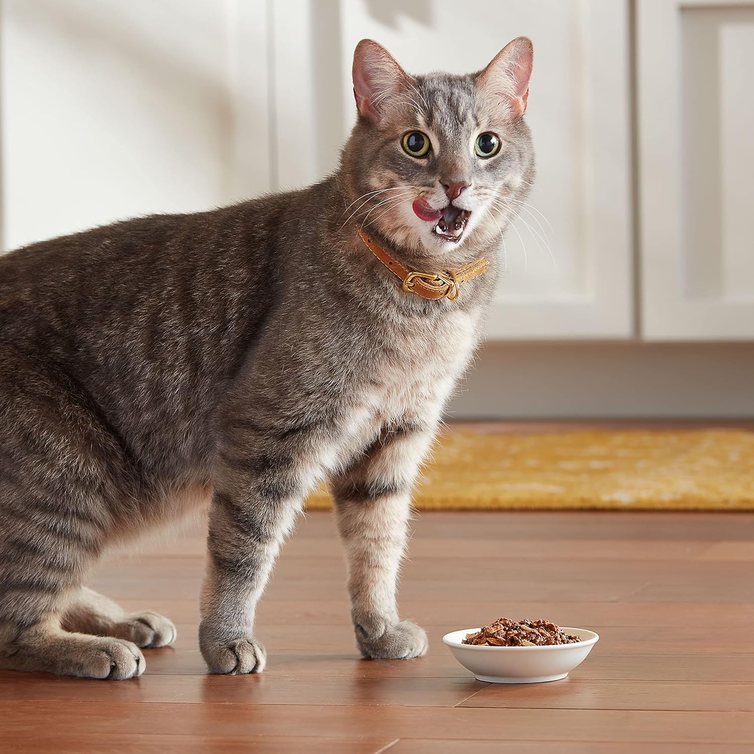 Meow Mix Tenders in Sauce, Wet Cat Food with Tuna & Whole Shrimp, 12 Cups