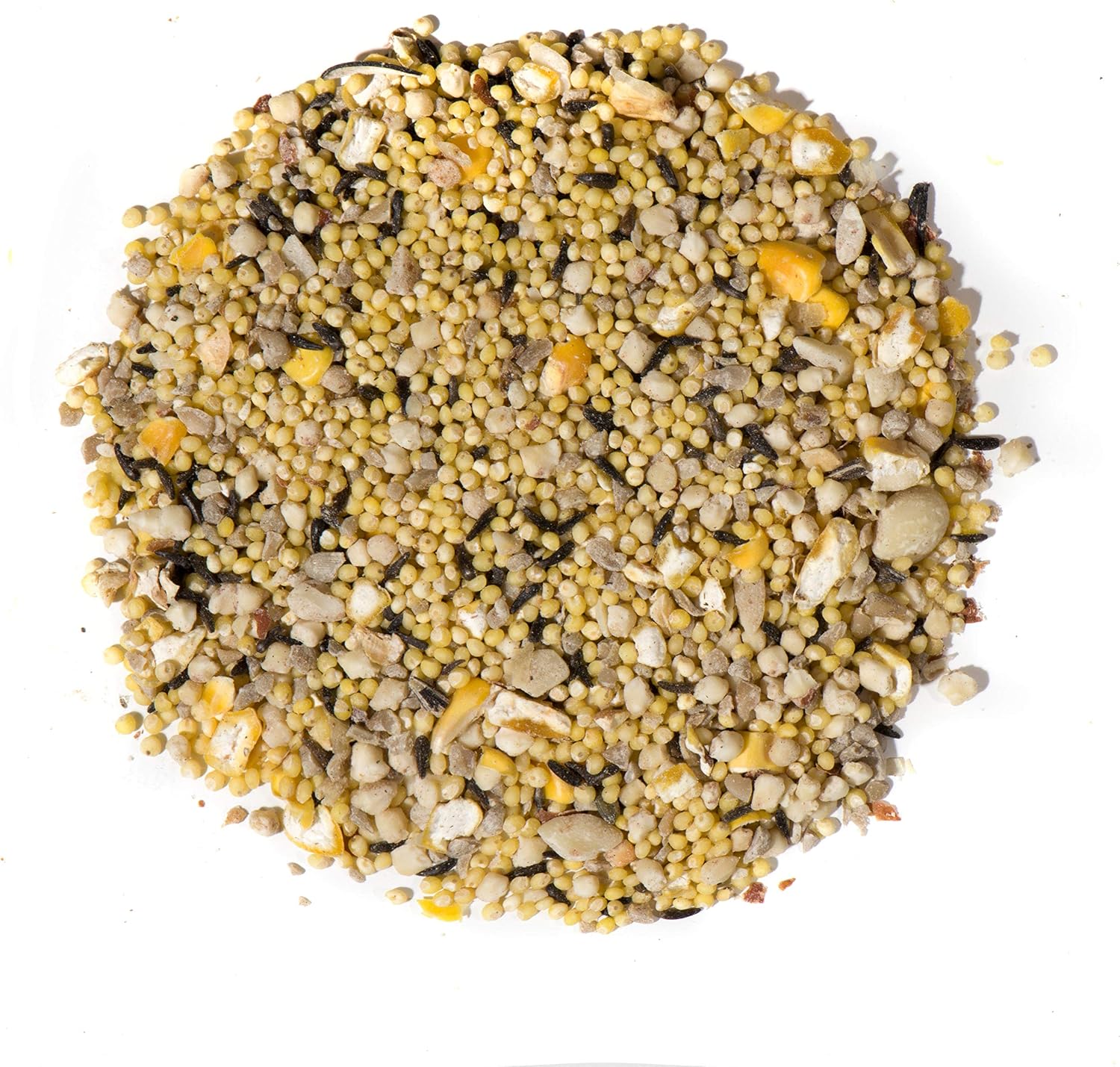 Nature's Nuts Waste Free No Sprout Blend - 20 lb. -Wild Bird Food