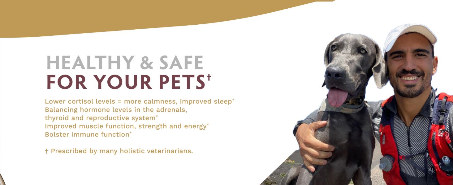 Healthy and safe for pets