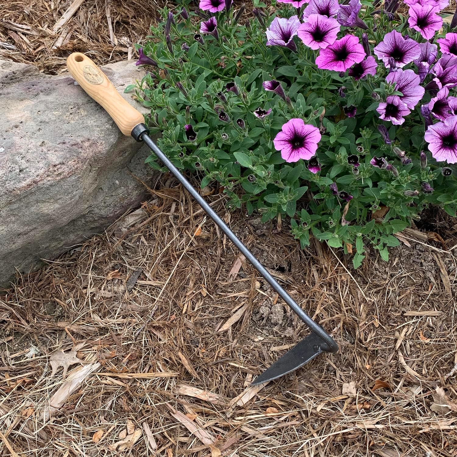 Dewit Dutch Hand Hoe – Right Hand | 18″ Total Length Hand-Forged Boron Steel Garden Hoe with Ash Hardwood Handle