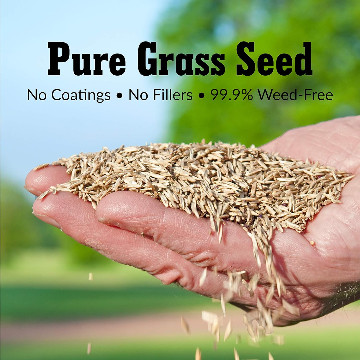 GreenView Pure Grass Seed Perennial Ryegrass Blend, 20 lb. Bag | Covers up to 10