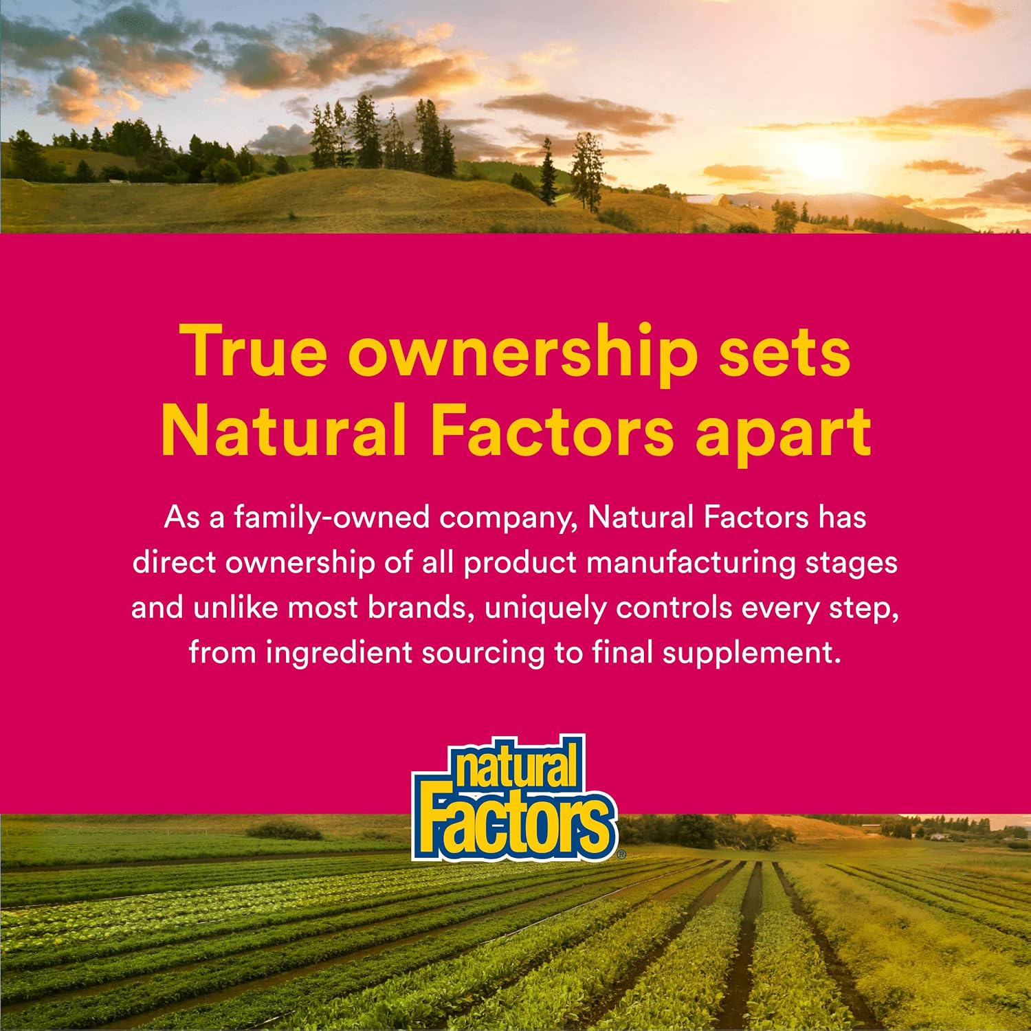 Natural Factors, Magnesium Citrate 150 mg, Muscle and Heart Health Formula, 180 Capsules