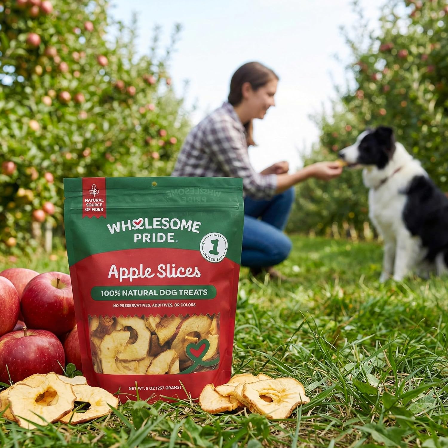 Wholesome Pride Banana Bites Dog Treats – 2-Ingredient Banana Chips for Dogs, Grain-Free, Banana & Coconut Oil, 8 oz