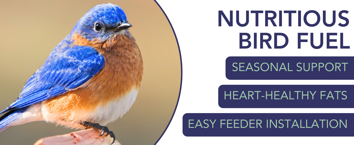 Wildlife Sciences Insects &amp;amp; Nuts Suet Balls, 12 Packs of 4