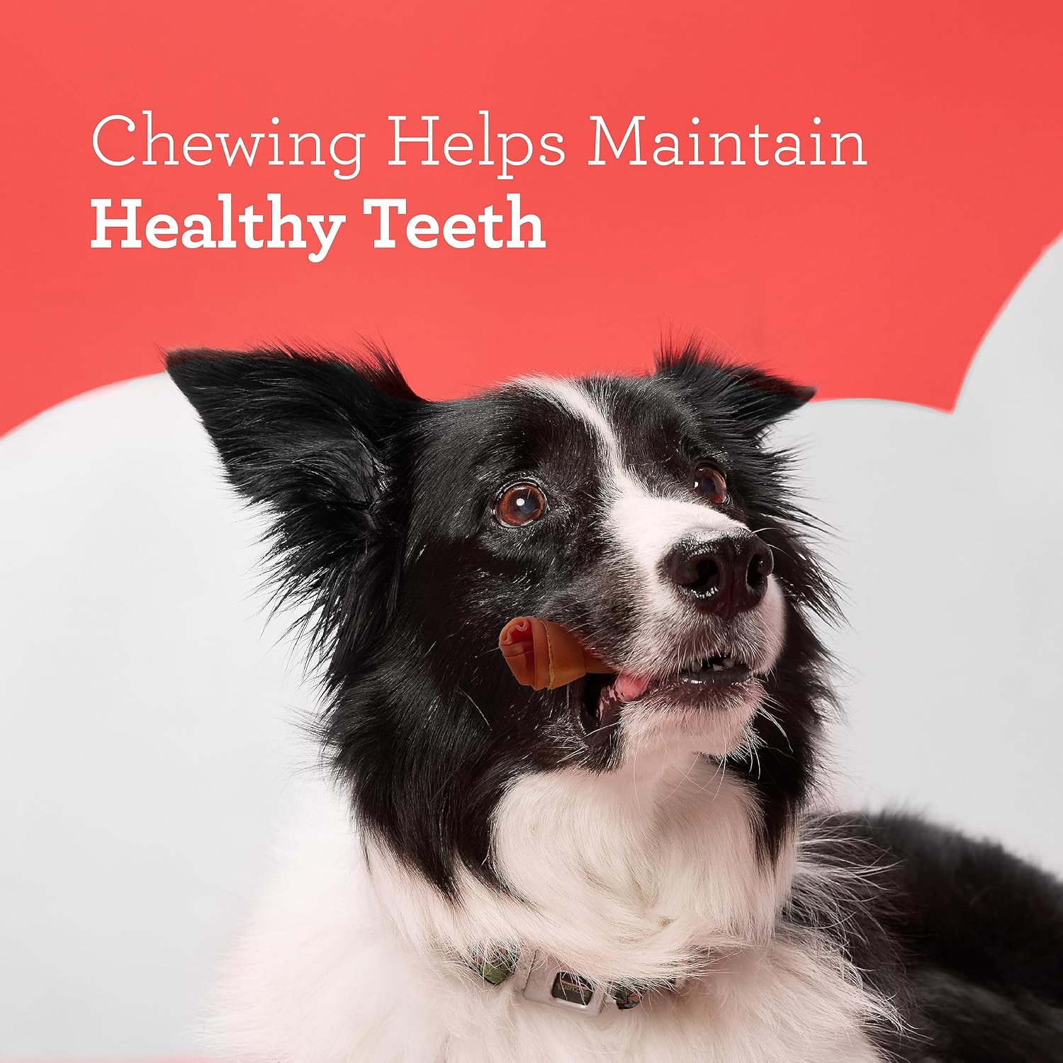 DreamBone Mini Bone Rawhide-Free Dog Treats With Real Protein, 24 Count | Daily Chew, Digests Safely and Completely, Made With Real Protein, Chicken and Veggies, For Adult Dogs