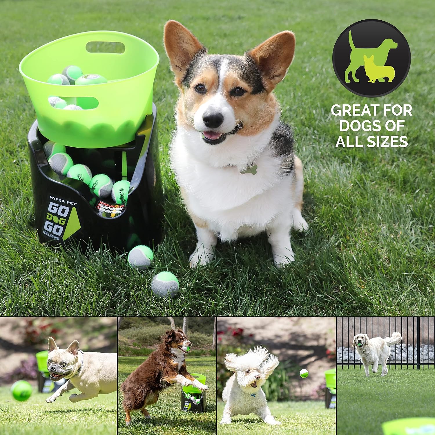 Hyper Pet GoDogGo Fetch Machine Dog Ball Launcher & Automatic Ball Launcher for Dogs With Five 2.5" Balls for Dogs 20-60 Pounds
