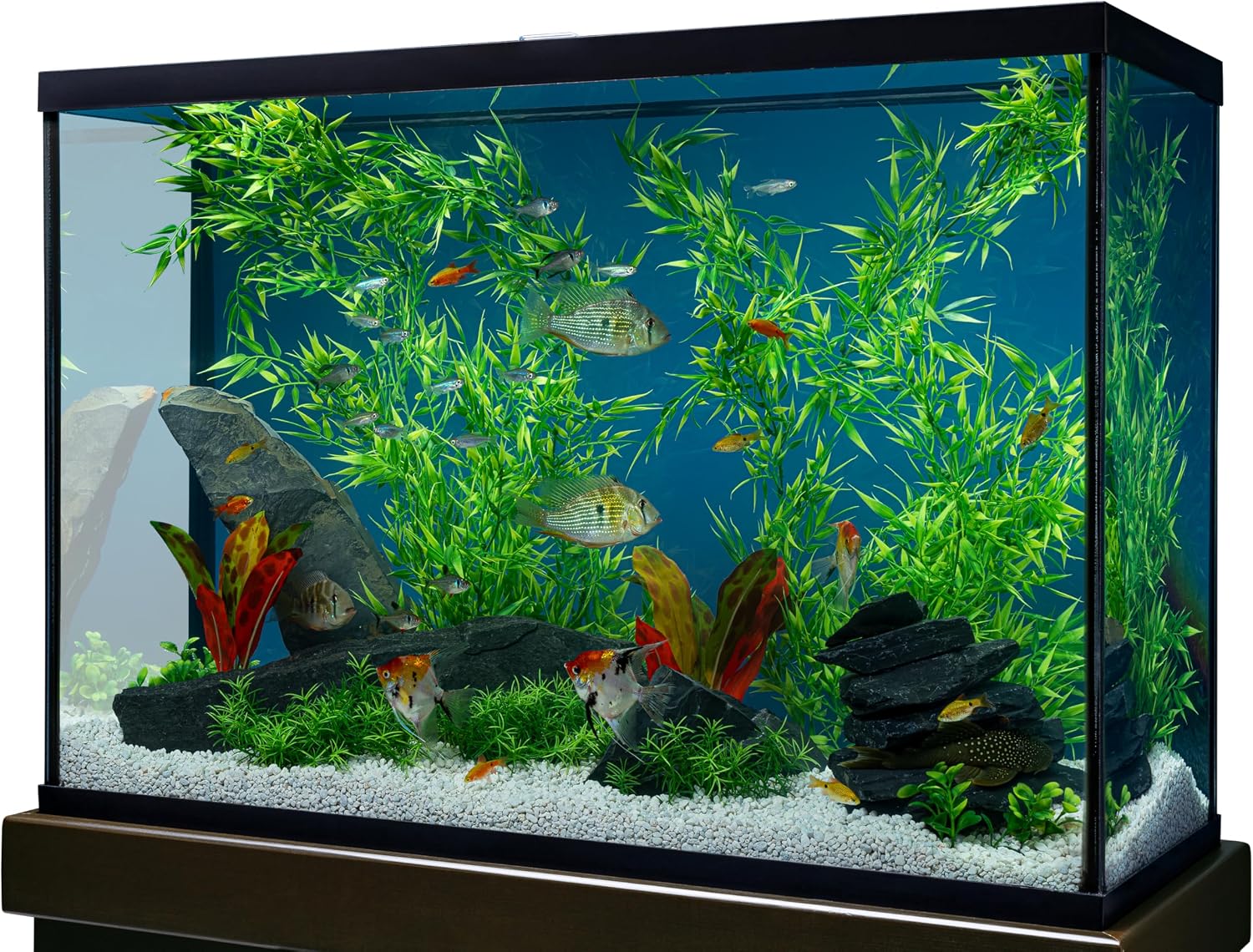 Marineland Bamboo 3 Feet, Décor For Aquariums and Terrariums