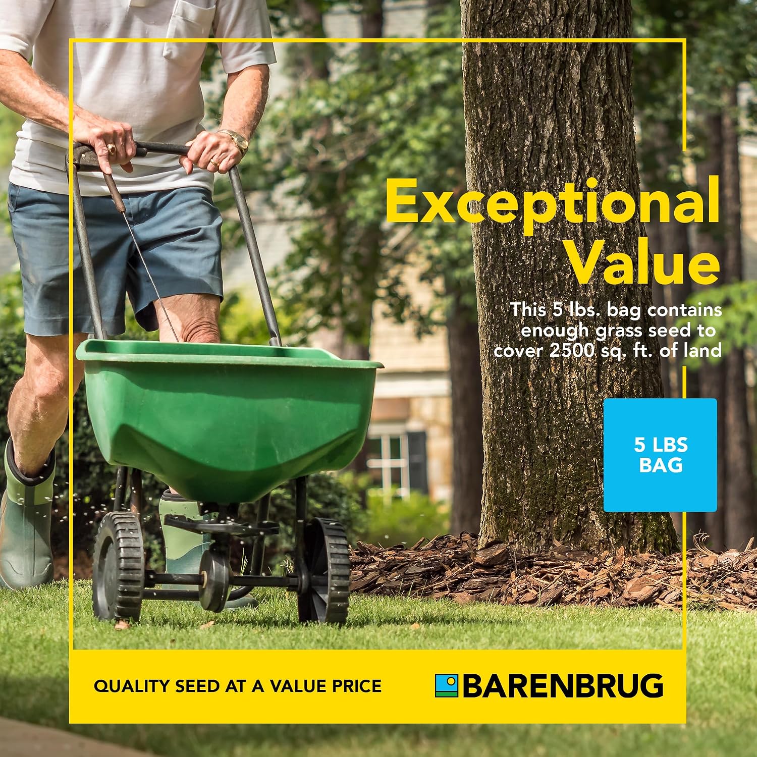 Barenbrug Wonderlawn Winter Grass Seed Mix for Lawn Care and Landscaping, 5 lbs. Bag