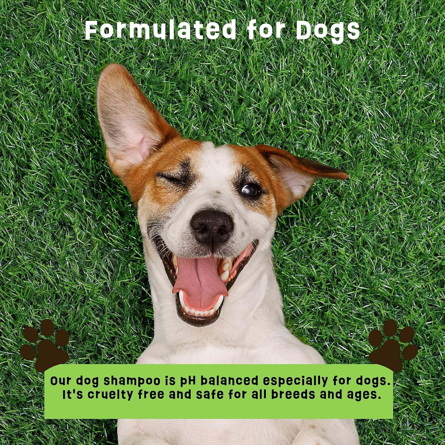Dogs Plus Vitamin C Dog Shampoo | All Natural Dermatitis, Demodex Mange, & Hot Spot Treatment for Dogs | Fast and Effective Itch Relief (6 oz)