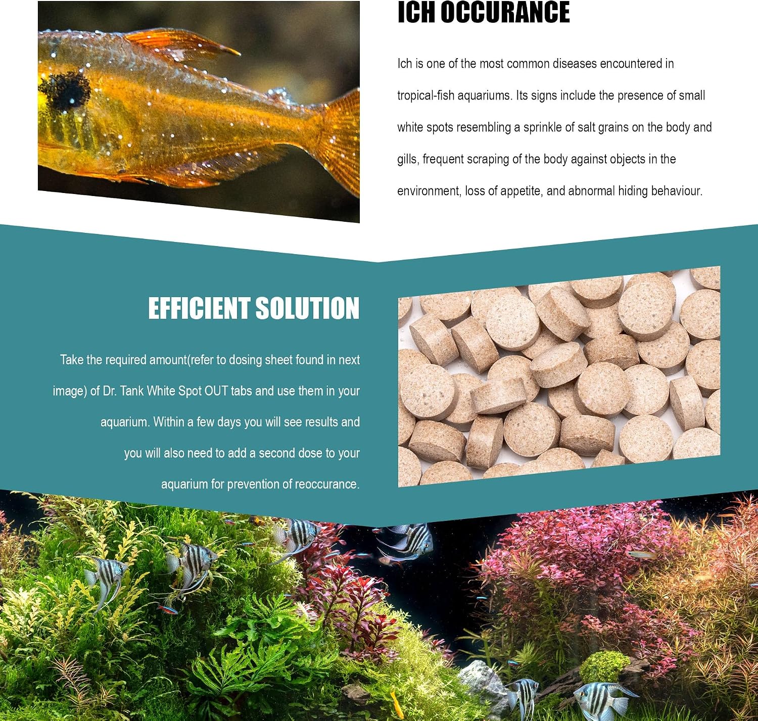 Dr. Tank #12 White Spot Out - Ich Treatment for Freshwater Fish - Eliminates Ick White Spot Disease - Safe for Aquatic Plants - 60 Tablets