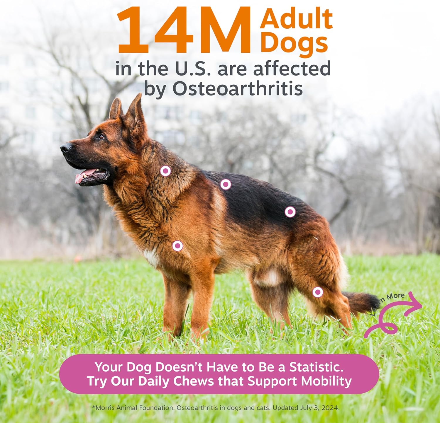 Zesty Paws Hip and Joint Supplement for Dogs - Glucosamine with Chondroitin, MSM, Vitamins C and E Dog Joint Relief - Mobility Bites Duck – 90 Count
