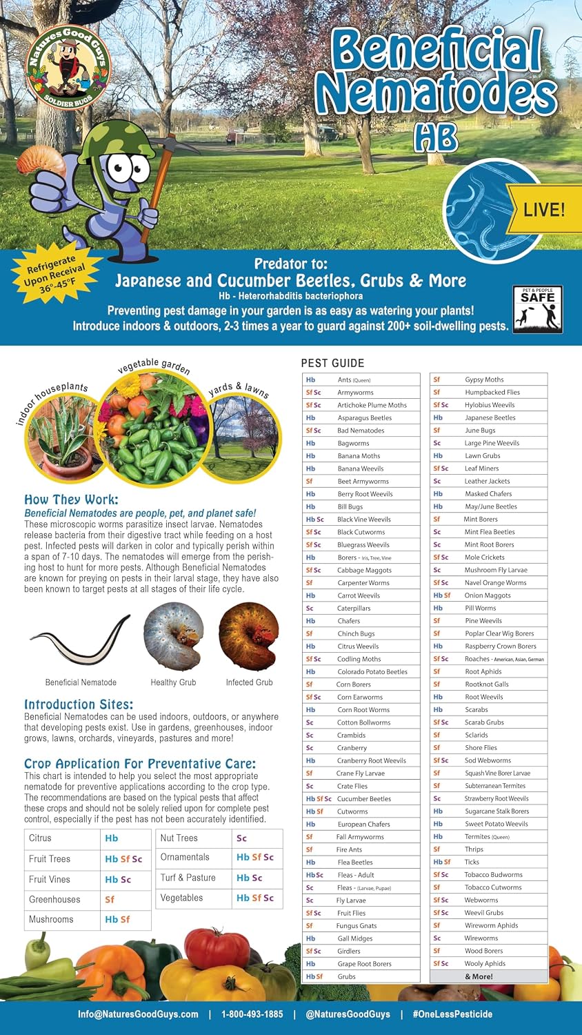 25 Million Live Beneficial Nematodes Hb - Soil Pest Exterminator
