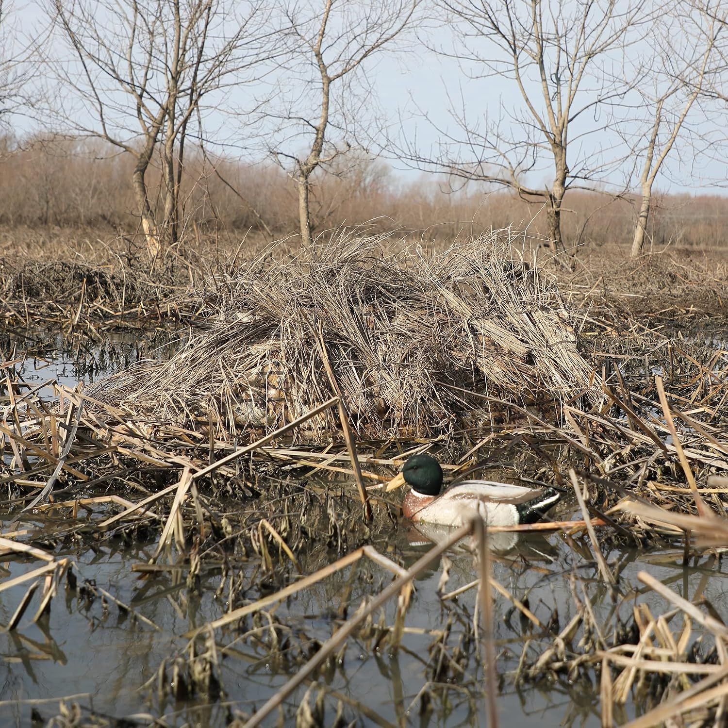 Invisi Lay Blind System for Waterfowl Hunting in Optifade Marsh