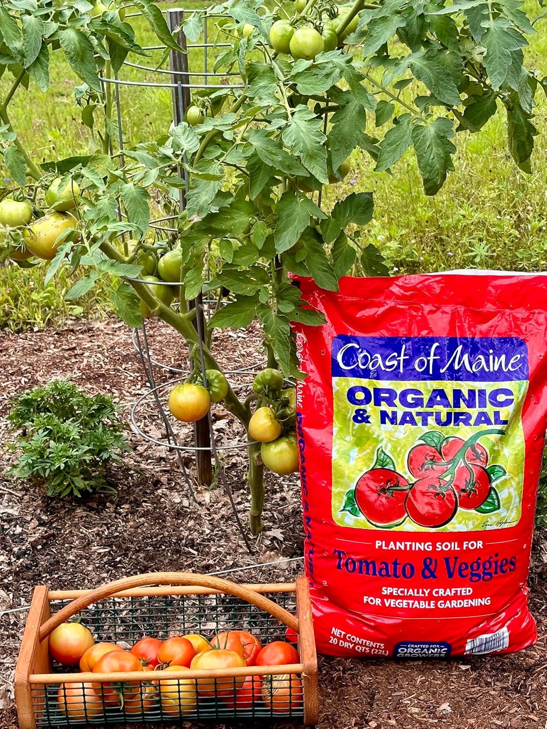 Coast of Maine Tomatoes and Veggies (20qt) Organic and Natural Planting Soil, Crafted for Vegetable Gardens and Organic Growers