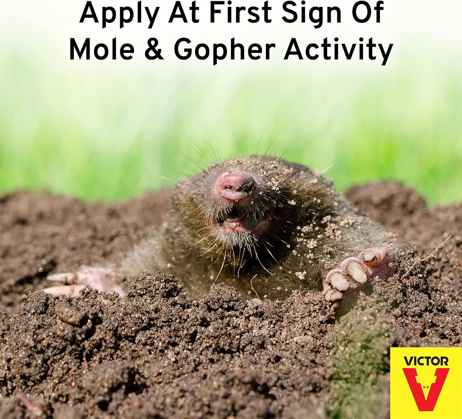Victor Mole and Gopher Repellent Spray, 32 fl oz Bottle