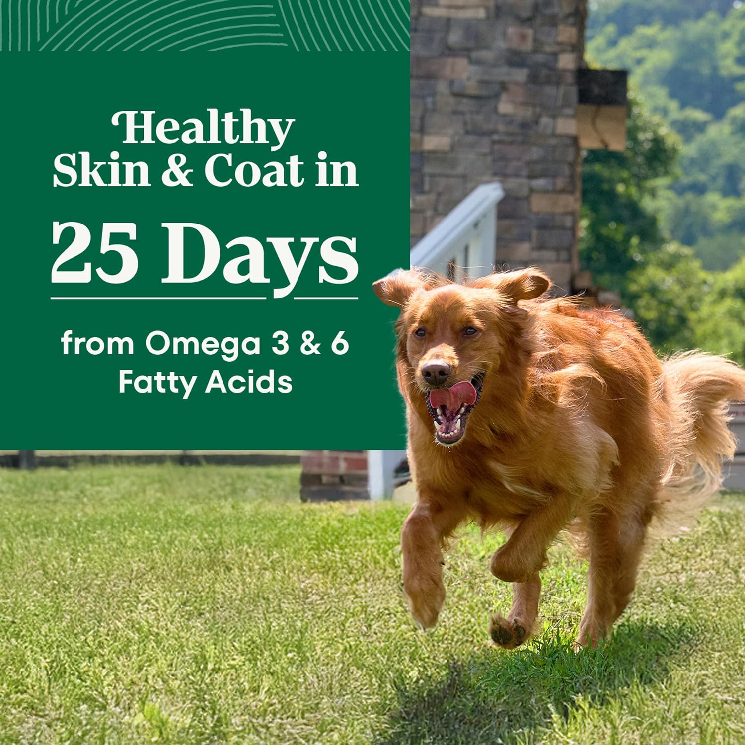 Nutro Natural Choice Large Breed Adult Dry Dog Food, Lamb & Rice, 30 lb | Real lamb #1 ingredient, non-GMO, no corn, wheat, soy, crafted in USA, supports joints, digestion, immunity, skin & coat