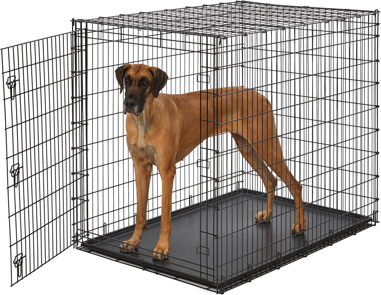 MidWest Homes for Pets 48-Inch iCrate for Extra-Large Breeds, 90-110 lbs, Single Door Folding Dog Crate with Divider Panel, Leak-Proof Tray & Secure Latches, Portable, Durable & Easy to Assemble