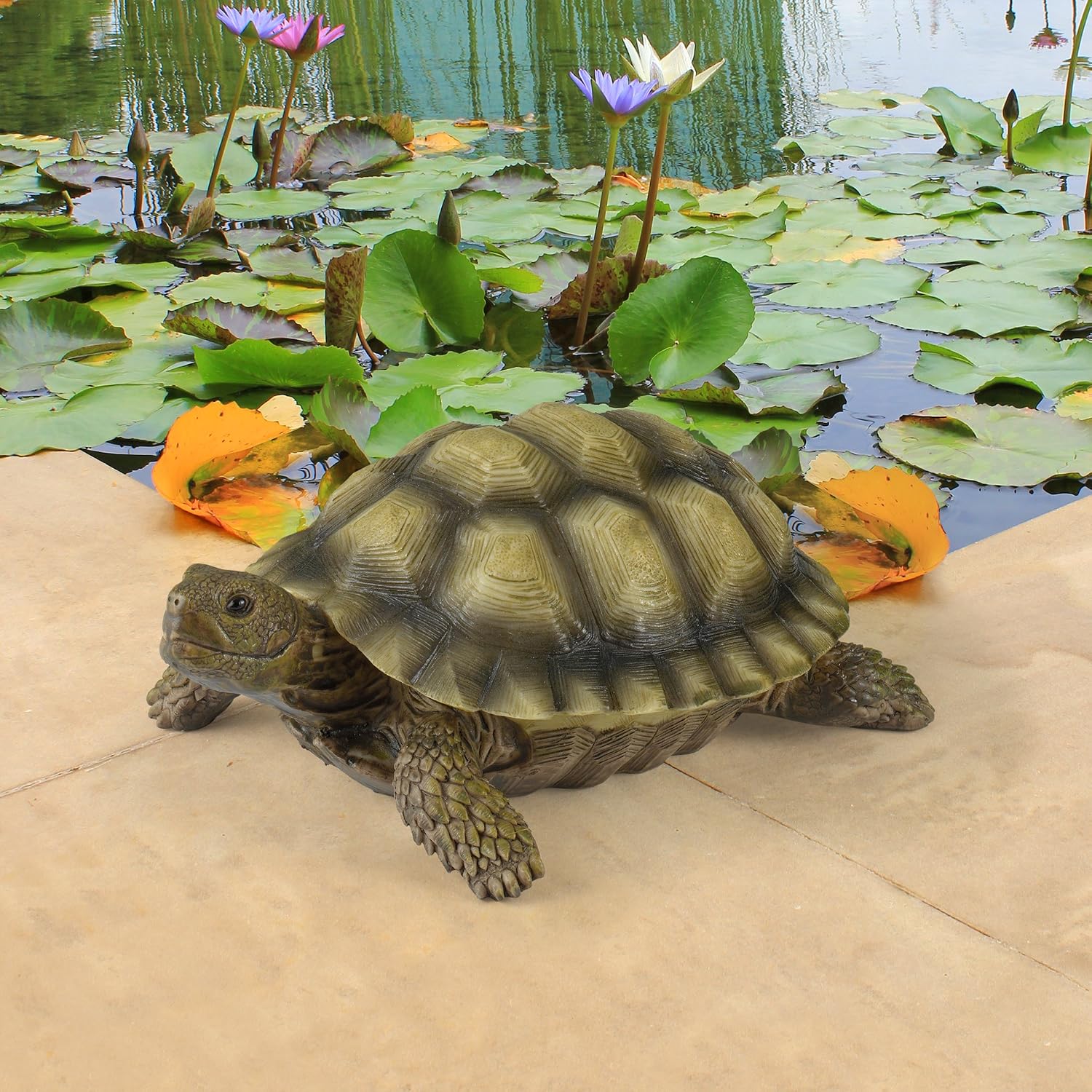 Design Toscano QM1887611 Gilbert the Box Turtle Garden Decor Animal Statue, 9 Inch, Full Color