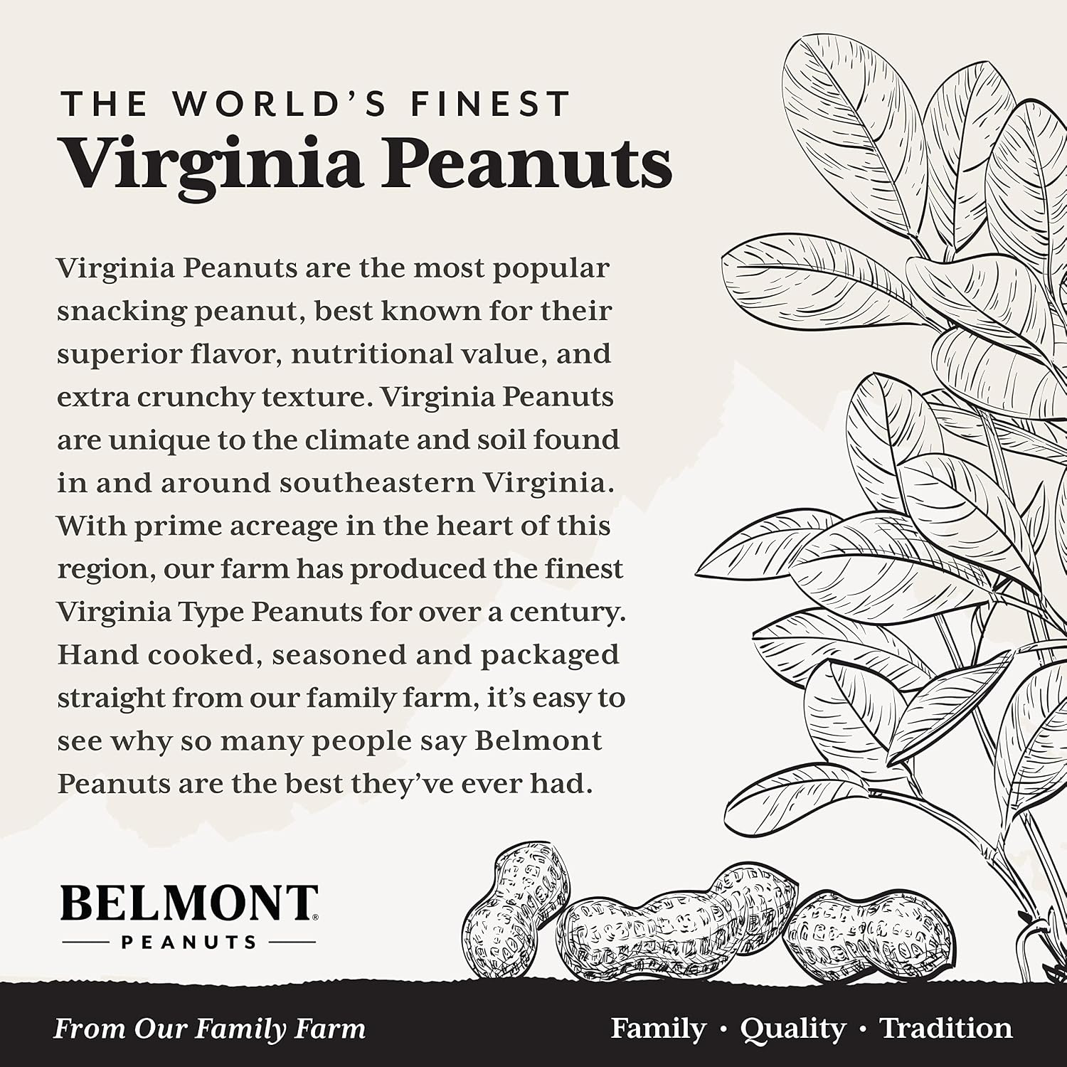 Belmont Peanuts Gourmet Sea-Salted Virginia Peanuts, 20 oz (1 Pack) – Only 3 Simple Ingredients, No Preservatives, 7g Protein – A Premium, Salty, Crunchy, Hand Seasoned Snack