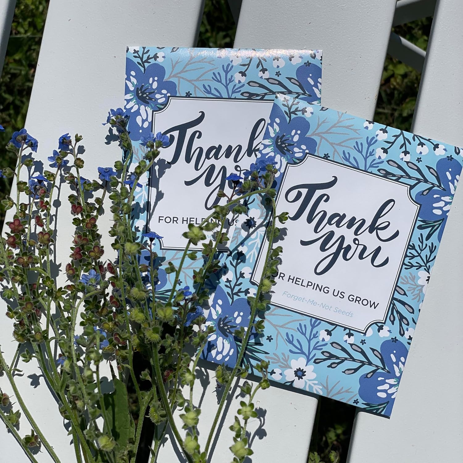 Bentley Thank You Packet - Sunflower Seeds - Pack of 25 - Perfect Eco-Friendly Thank You Gift - Non GMO