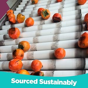Sourced Sustainably