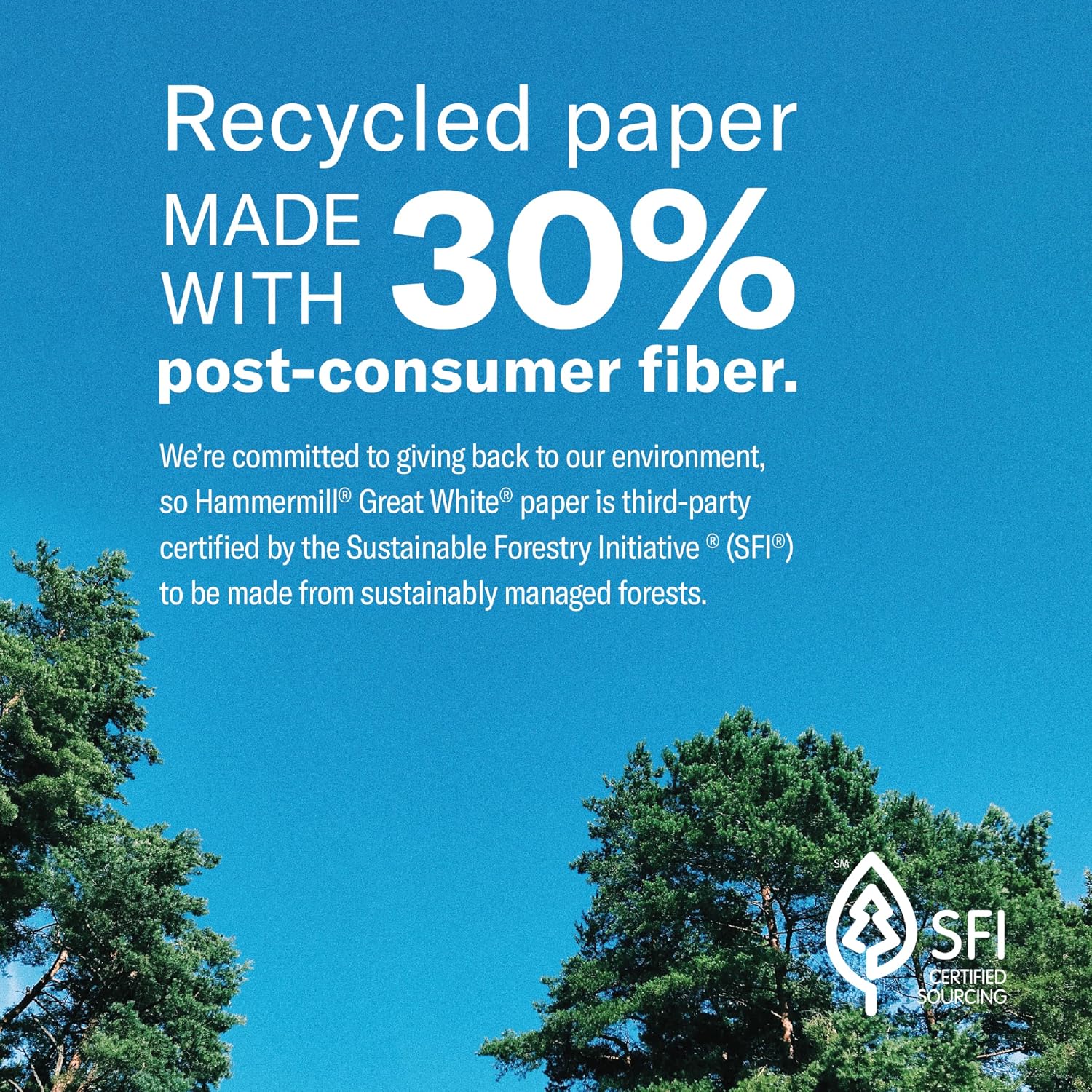 Hammermill Printer Paper, Great White 30% Recycled Paper, 8.5 x 11-1 Ream (500 Sheets) - 92 Bright, Made in the USA, 086710
