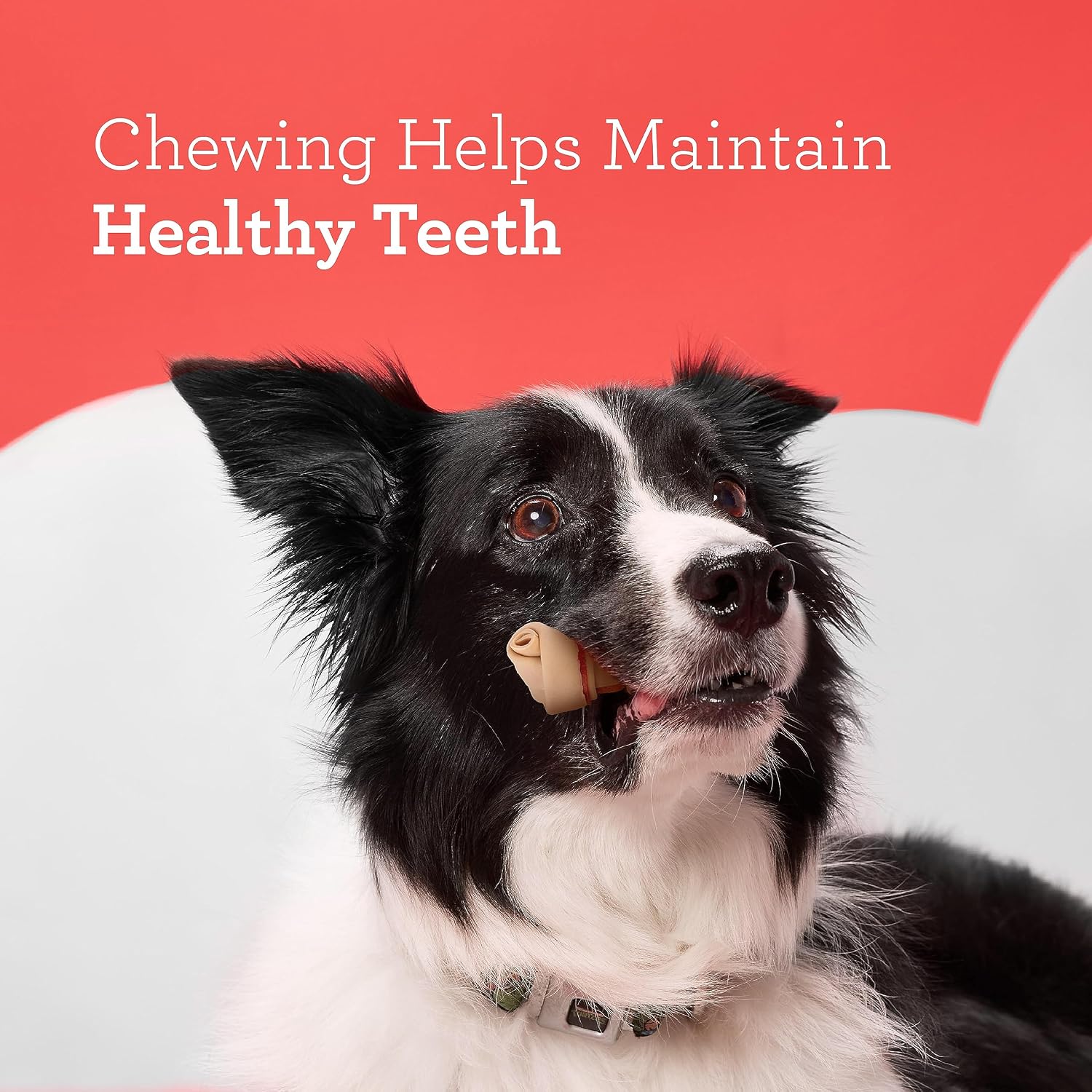 DreamBone Mini Bone Rawhide-Free Dog Treats With Real Protein, 24 Count | Daily Chew, Digests Safely and Completely, Made With Real Protein, Chicken and Veggies, For Adult Dogs
