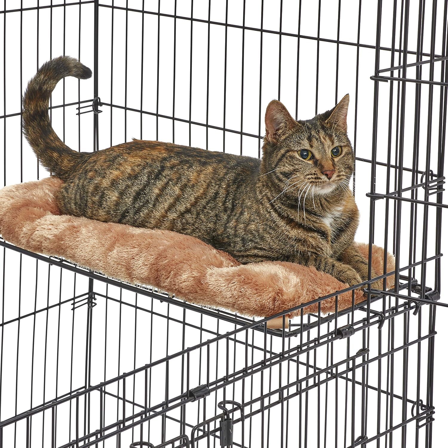MidWest Homes for Pets Folding Metal Indoor Cat Playpen, Cage Includes Locking Wheels, 3 Platforms, Removable Tray, Plush Bed, Suited for 1-3 Cats