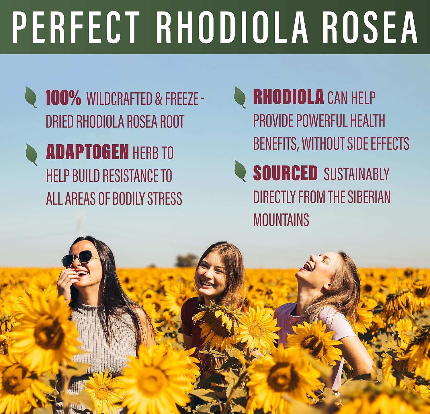 Perfect Supplements Rhodiola Rosea, for Better Focus, Energy, and Stress Relief, Optimal 3% Rosavins to 1% Salidroside Ratio, a Natural Adaptogen ~60 Vegetable Capsules
