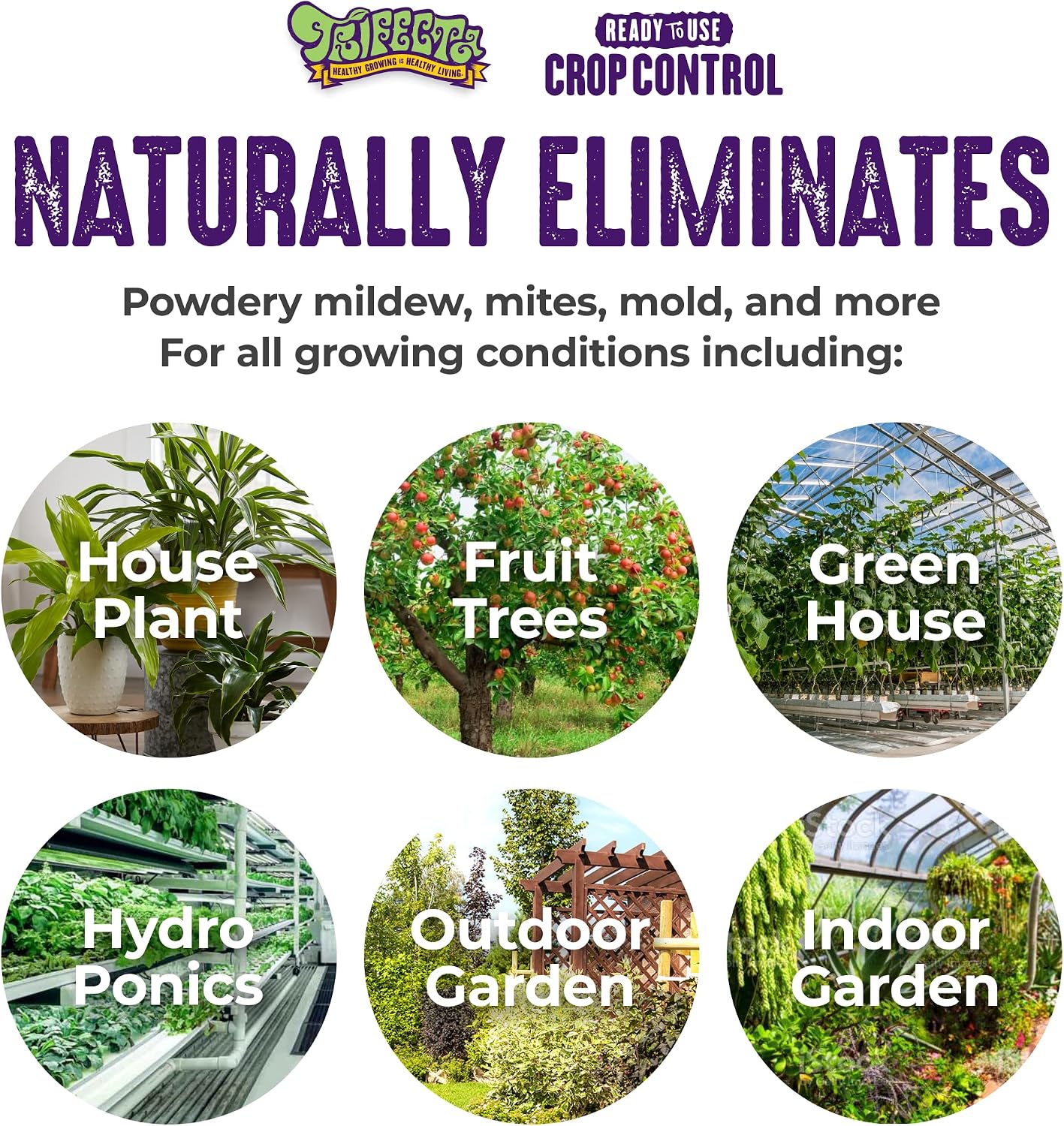 Trifecta Crop Control Super Concentrate | 4 oz | All-in-One Pesticide, Fungicide, Miticide And Insecticide | For Spider Mites, Mildew, Mold And Botrytis