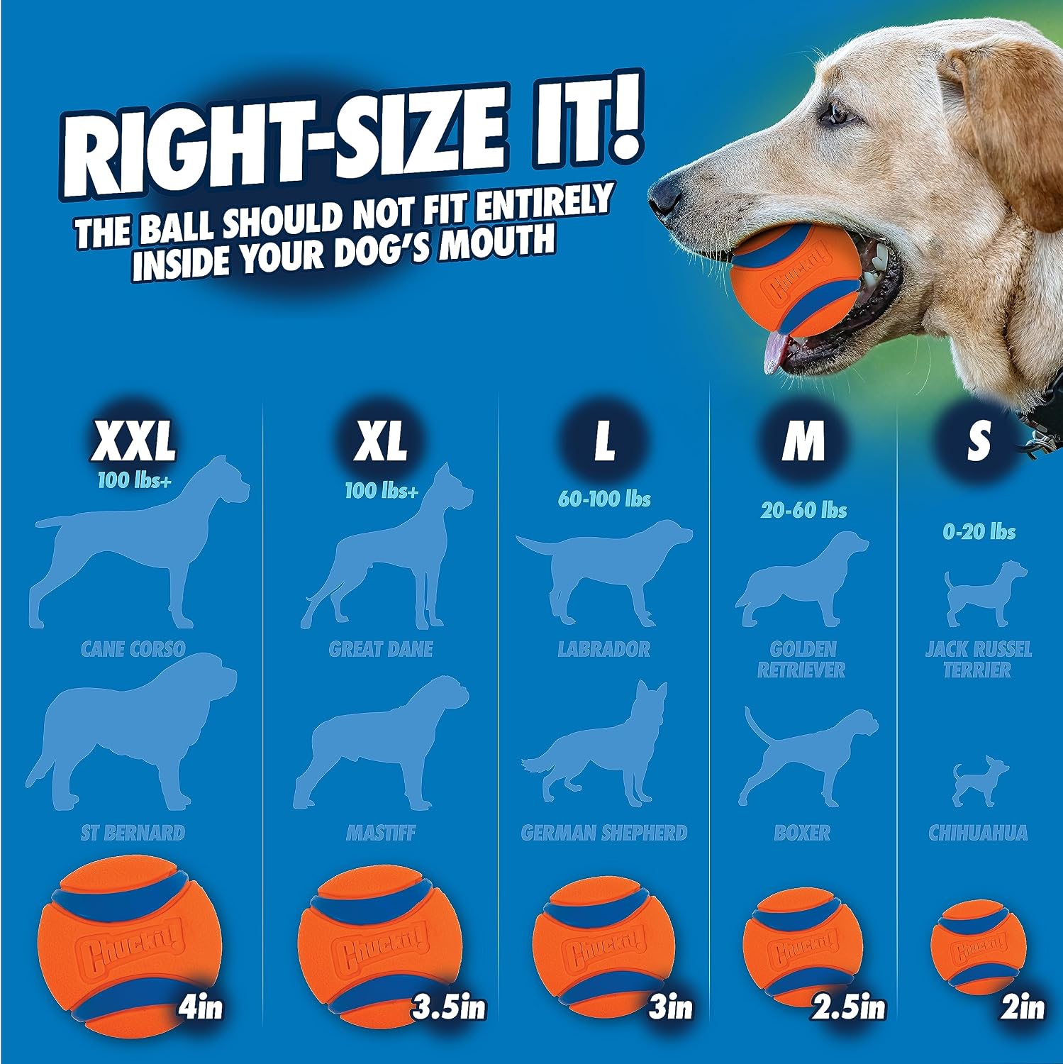 Chuckit! Pro 26L Dog Ball Launcher, 26" Length, Includes Large Ball (3") For Dogs 60-100 Pounds