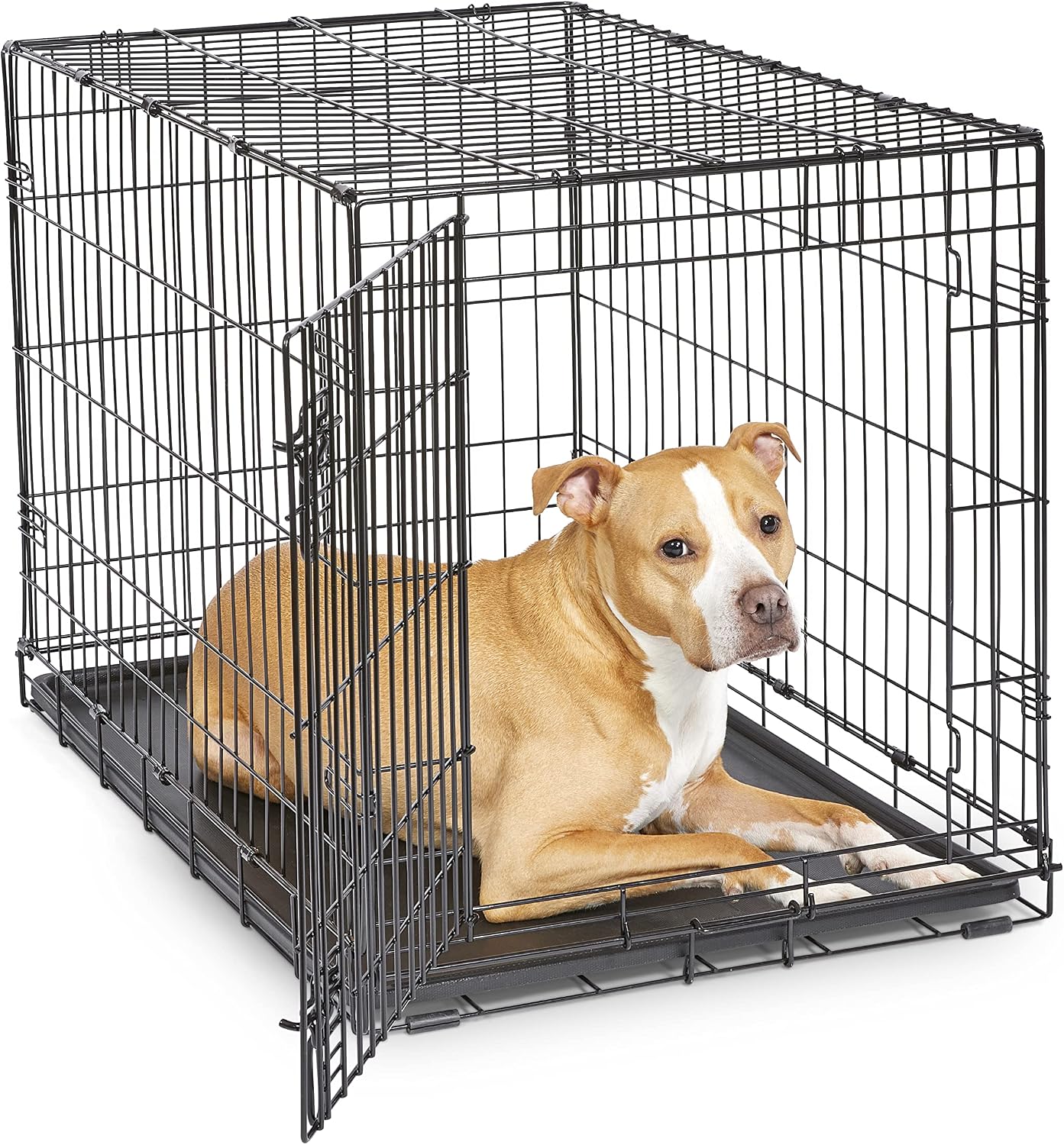 Midwest Homes for Pets 24-Inch New World Crate for Small Breeds, 12-20 lbs, Double Door Folding Dog Crate, Leak-Proof Tray & Secure Latches, Portable, Durable & Easy to Assemble