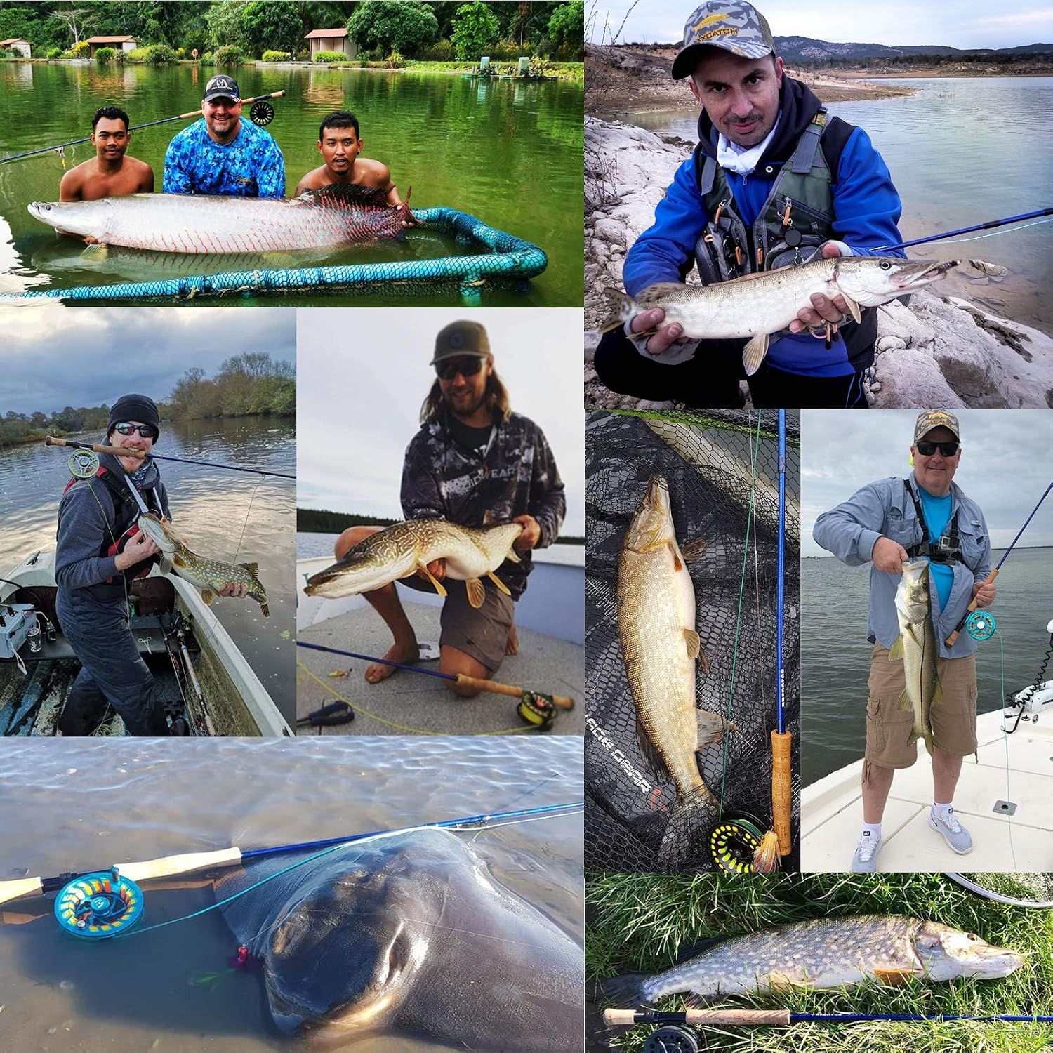 M MAXIMUMCATCH Maxcatch Predator Big Game and Saltwater Fly Fishing Rod: 7'11''/9'/9'2''/10', 4-Piece, 8/9/10/11/12 Weight