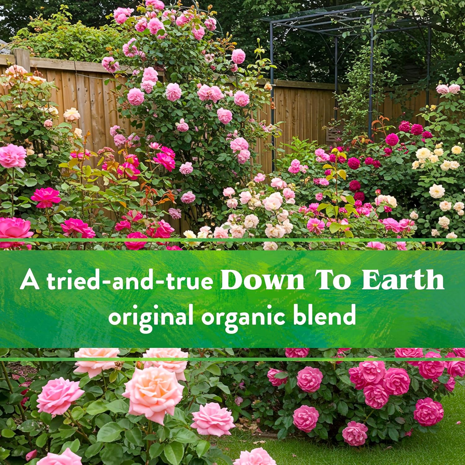 Down To Earth All Natural Fertilizers Organic Rose & Flower Mix - 1 lb | Plant Food for Roses, Bulbs, Flowers, Ornamentals, Perennials, 4-8-4 Formula for Flower Beds, Container Gardens