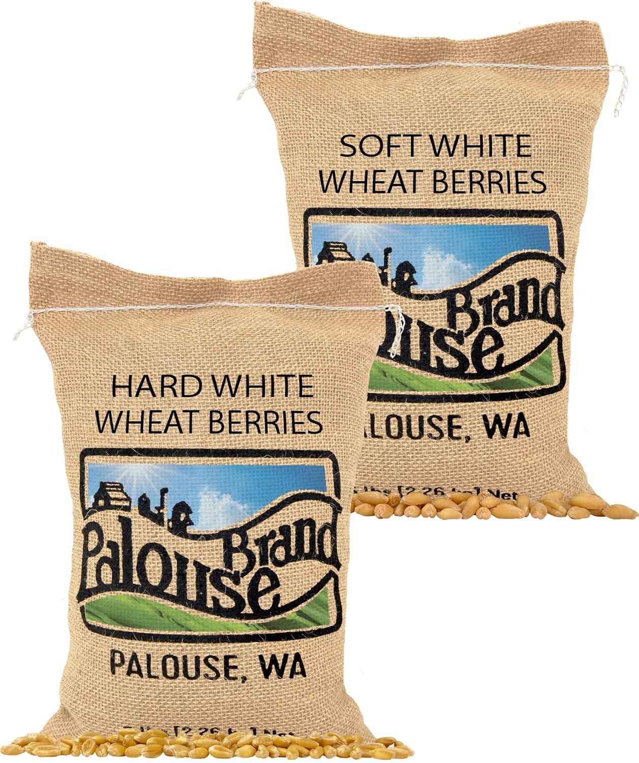Palouse Brand Certified Glyphosate Residue Free Hard White Wheat Berries | 5 LBS | Non-GMO Project Verified | Kosher