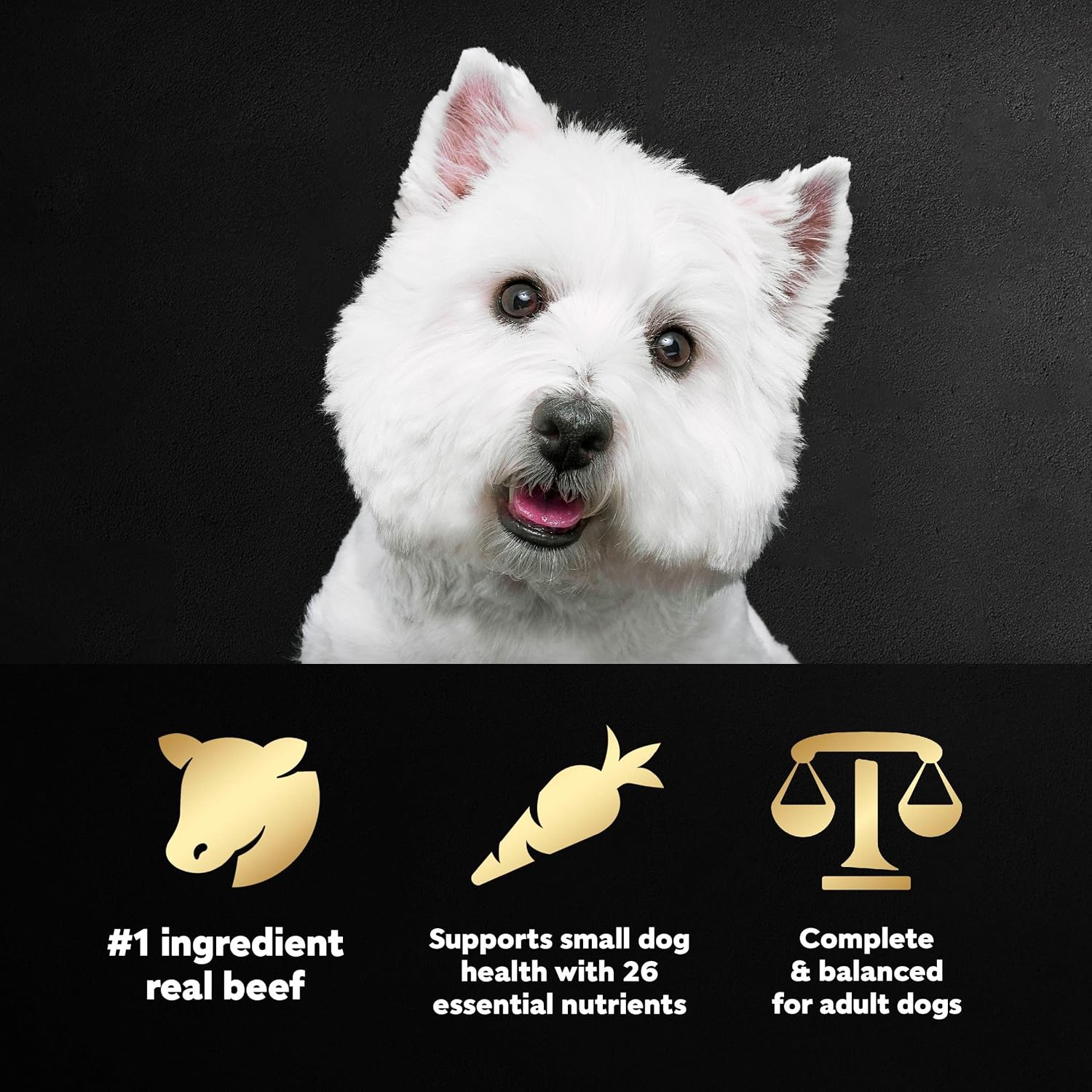 Cesar Small Breed Dry Dog Food, Chicken & Spring Vegetables Flavor, 5 lb | Made in USA, Real chicken #1 ingredient, 26 essential nutrients, supports small breed health, no artificial flavors