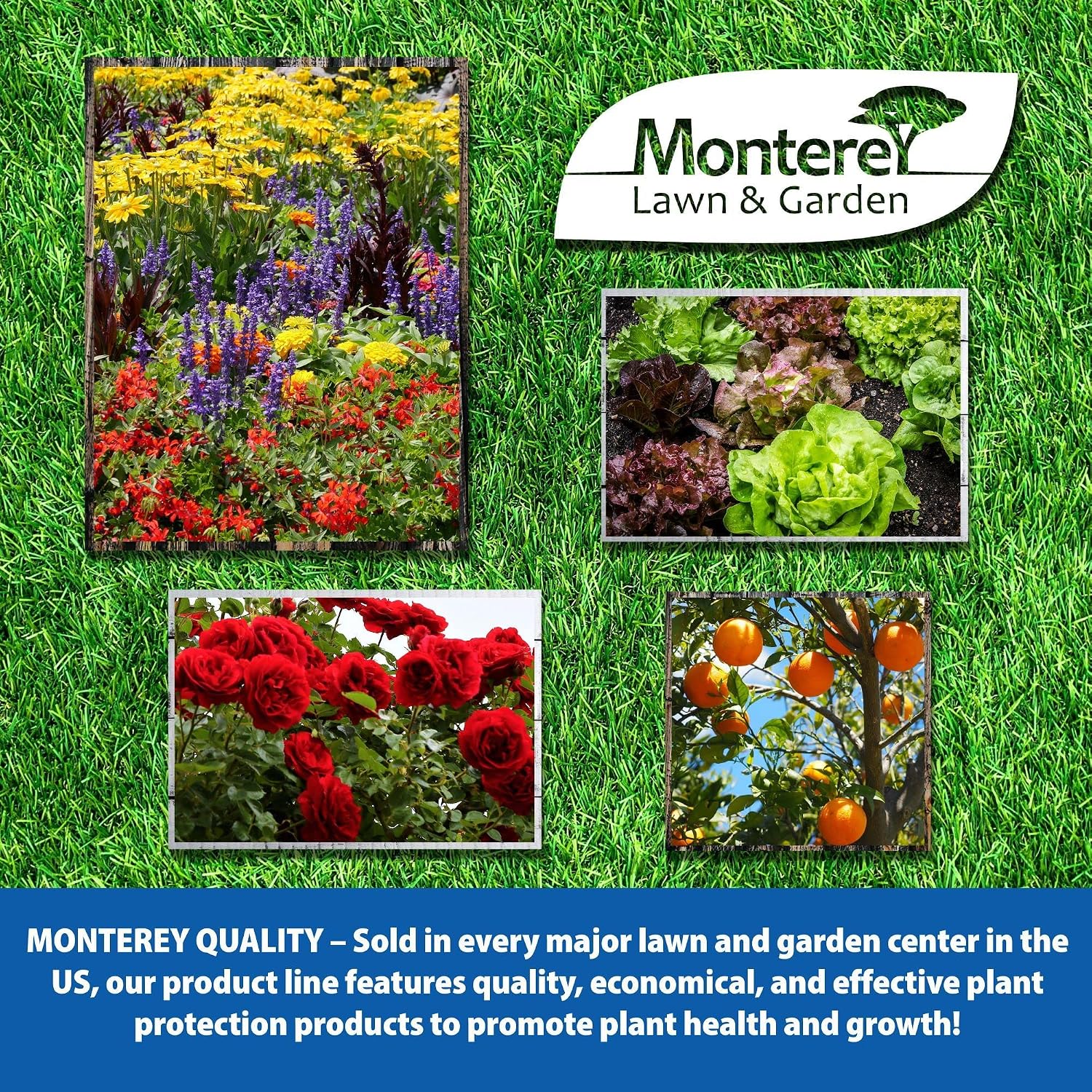 Monterey NLG7122 Dr Soil Acidifier Granules Iron and Elemental Sulfur Acidic Fertilizer, 21 lb