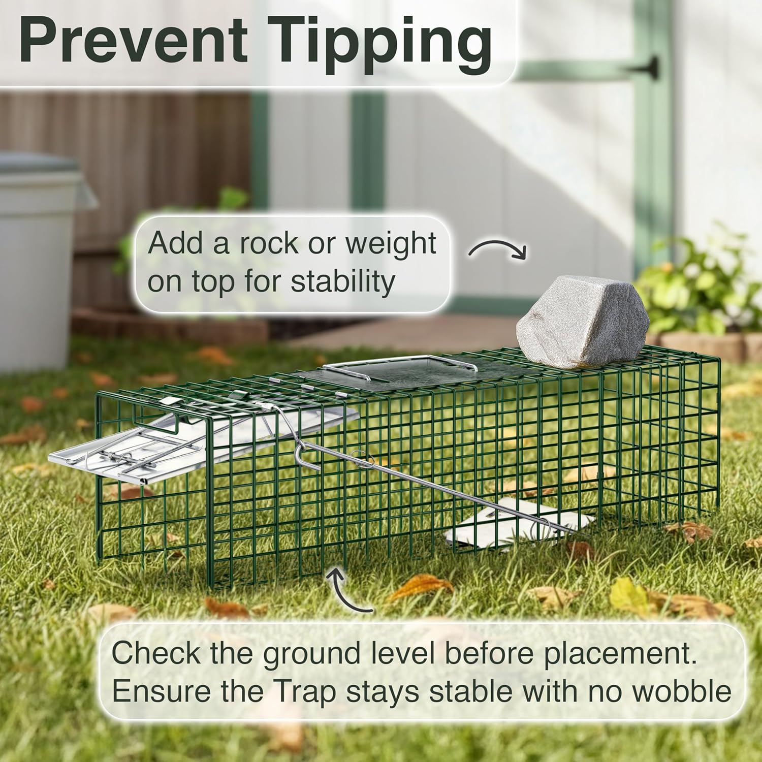 HOMESTEAD Heavy Duty Live Trap - Professional Style One-Door Live Animal Traps for Rabbit, Squirrel, Possum, Skunk, Kitten, Mink Small