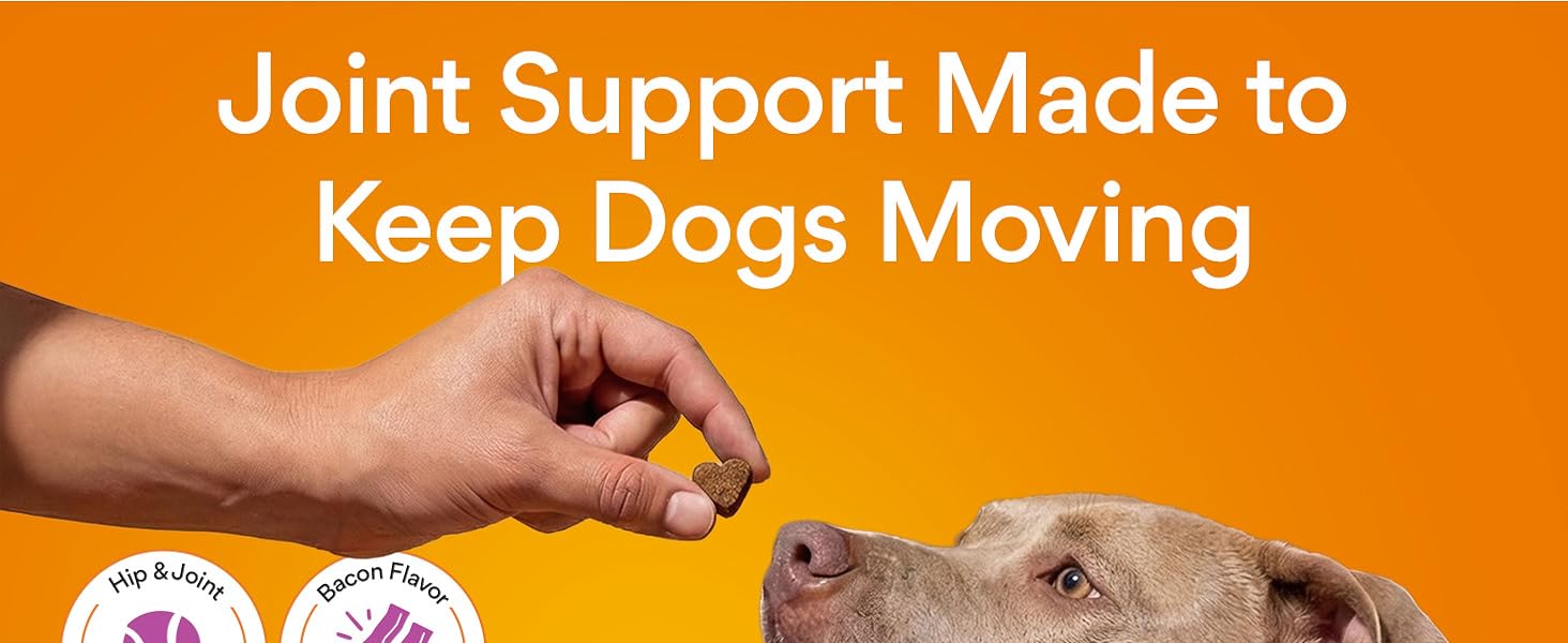 joint support for dogs